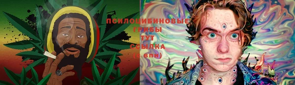 стаф Струнино