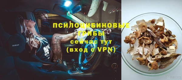 a pvp Богородицк