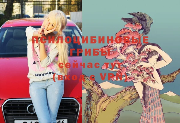 амф Богданович