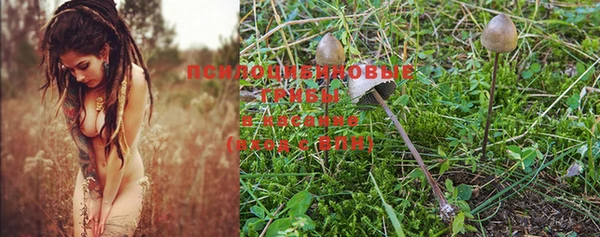 a pvp Богородицк